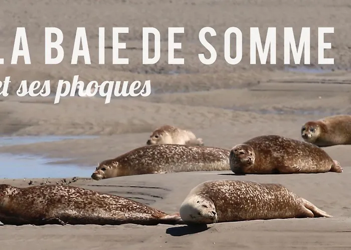 Vent D'ouest * Le Crotoy